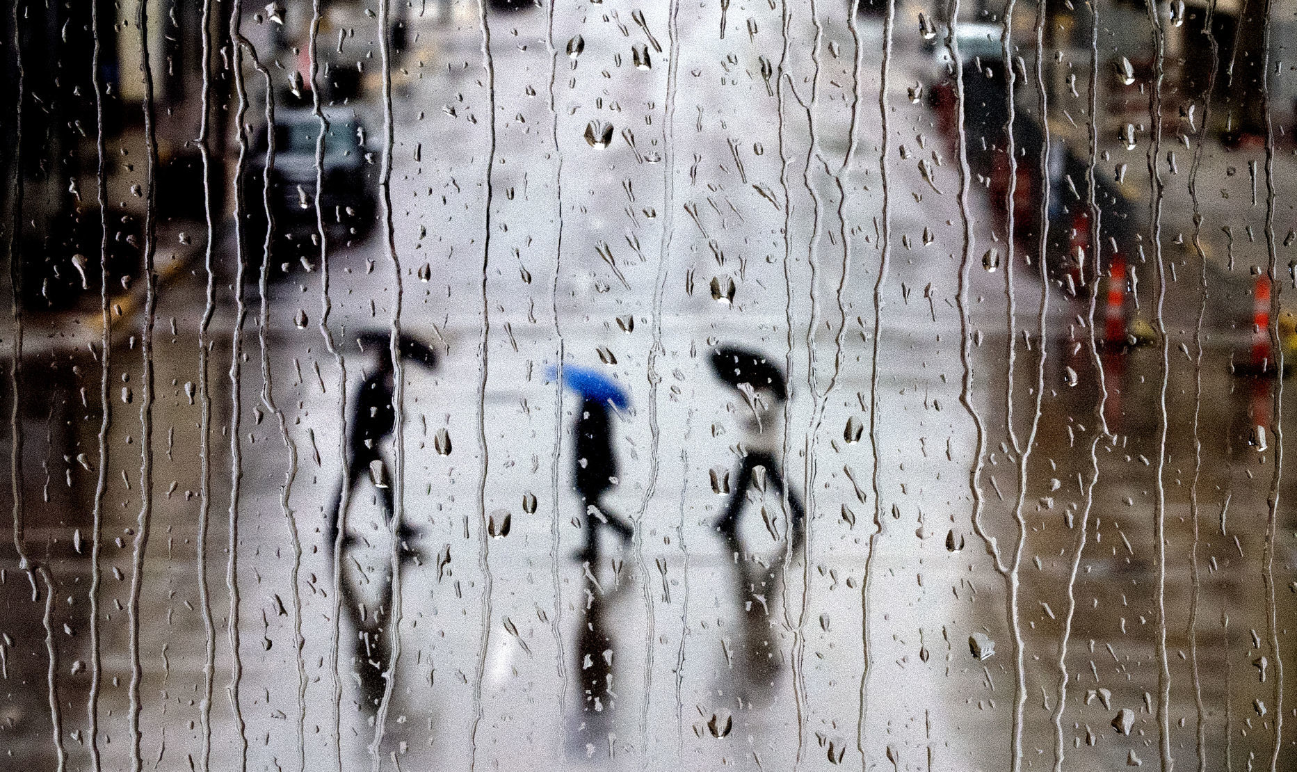 Wet weather walker